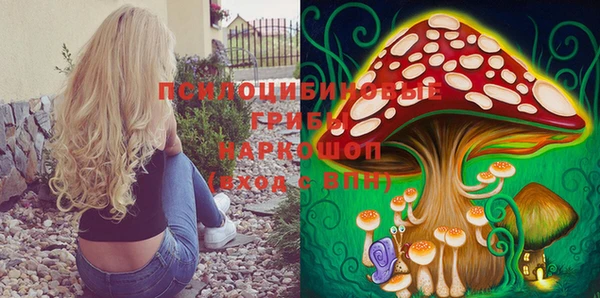 герыч Лиски