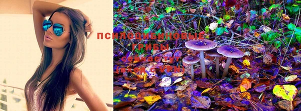 герыч Лиски
