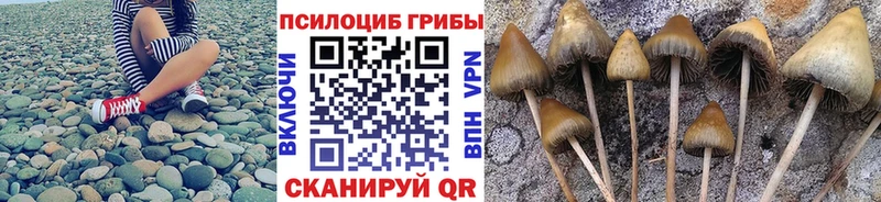Галлюциногенные грибы Psilocybine cubensis  даркнет сайт  blacksprut зеркало  Шадринск 