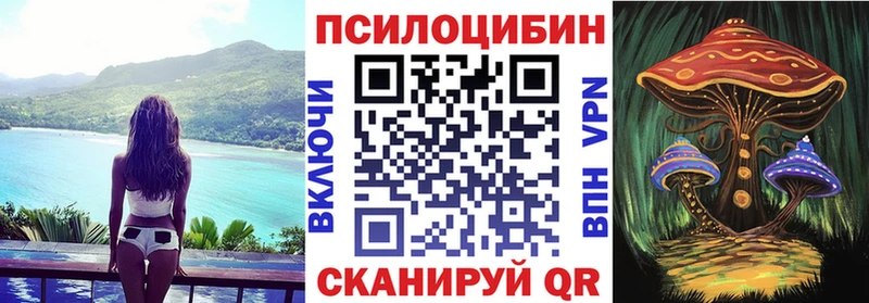 Псилоцибиновые грибы Magic Shrooms Шадринск
