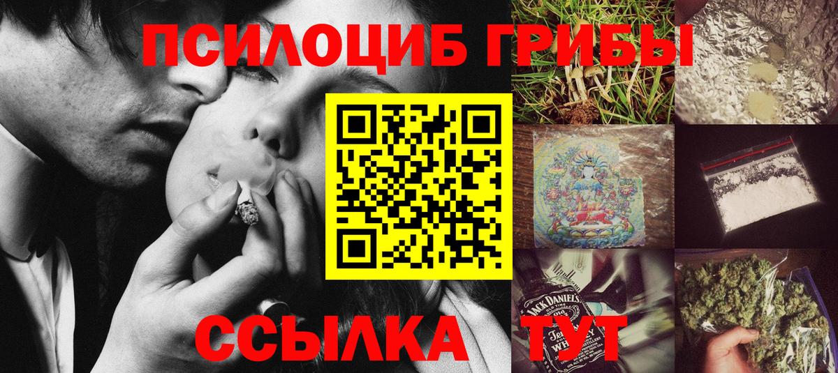 Псилоцибиновые грибы Cubensis Шадринск