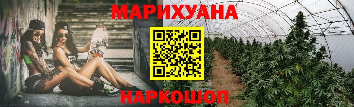 Шадринск  Бошки Шишки план  Бошки Шишки ГИДРОПОН  Вход с VPN 